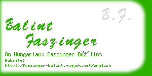 balint faszinger business card